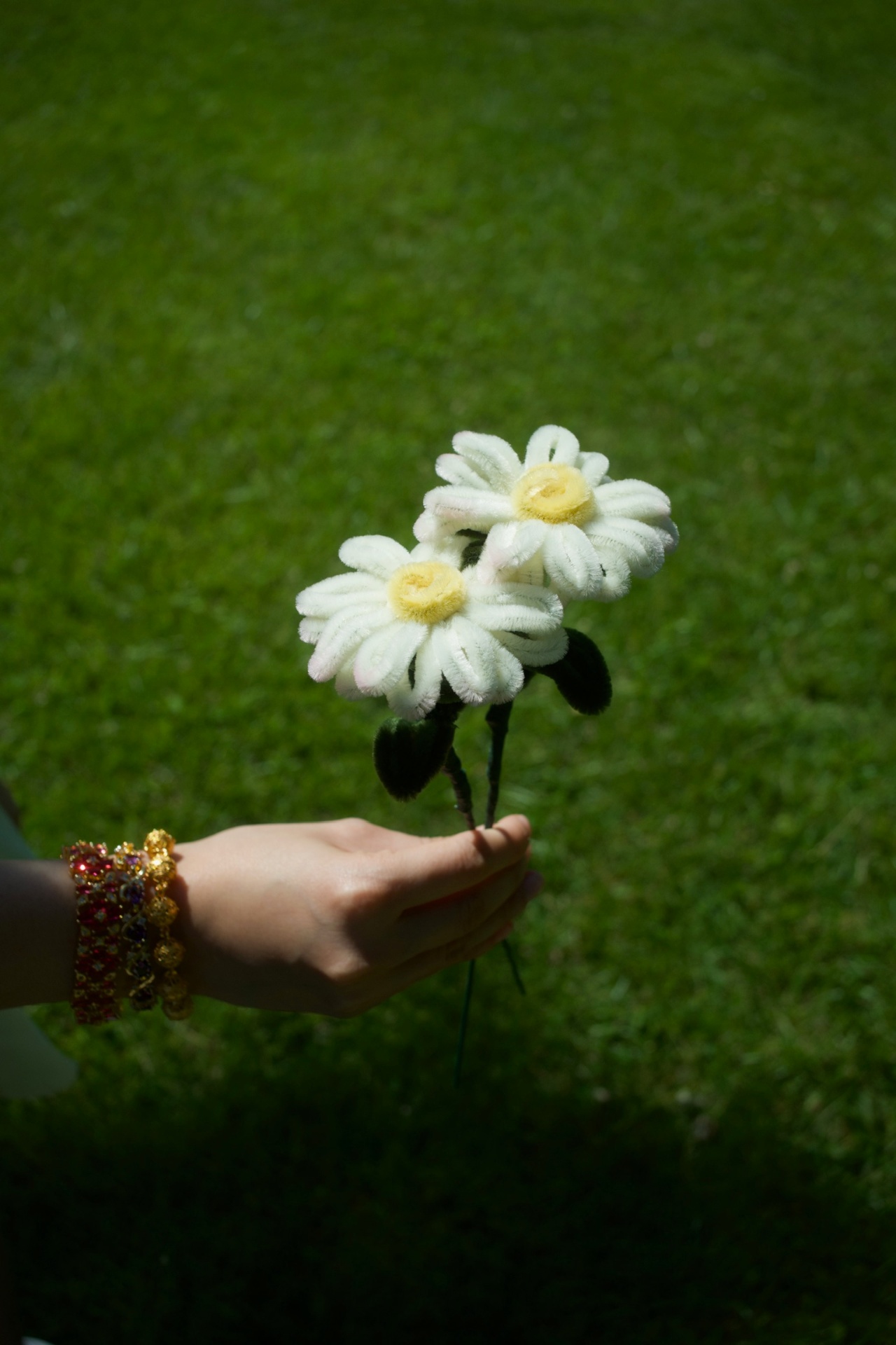 Pipe Cleaner Daisies