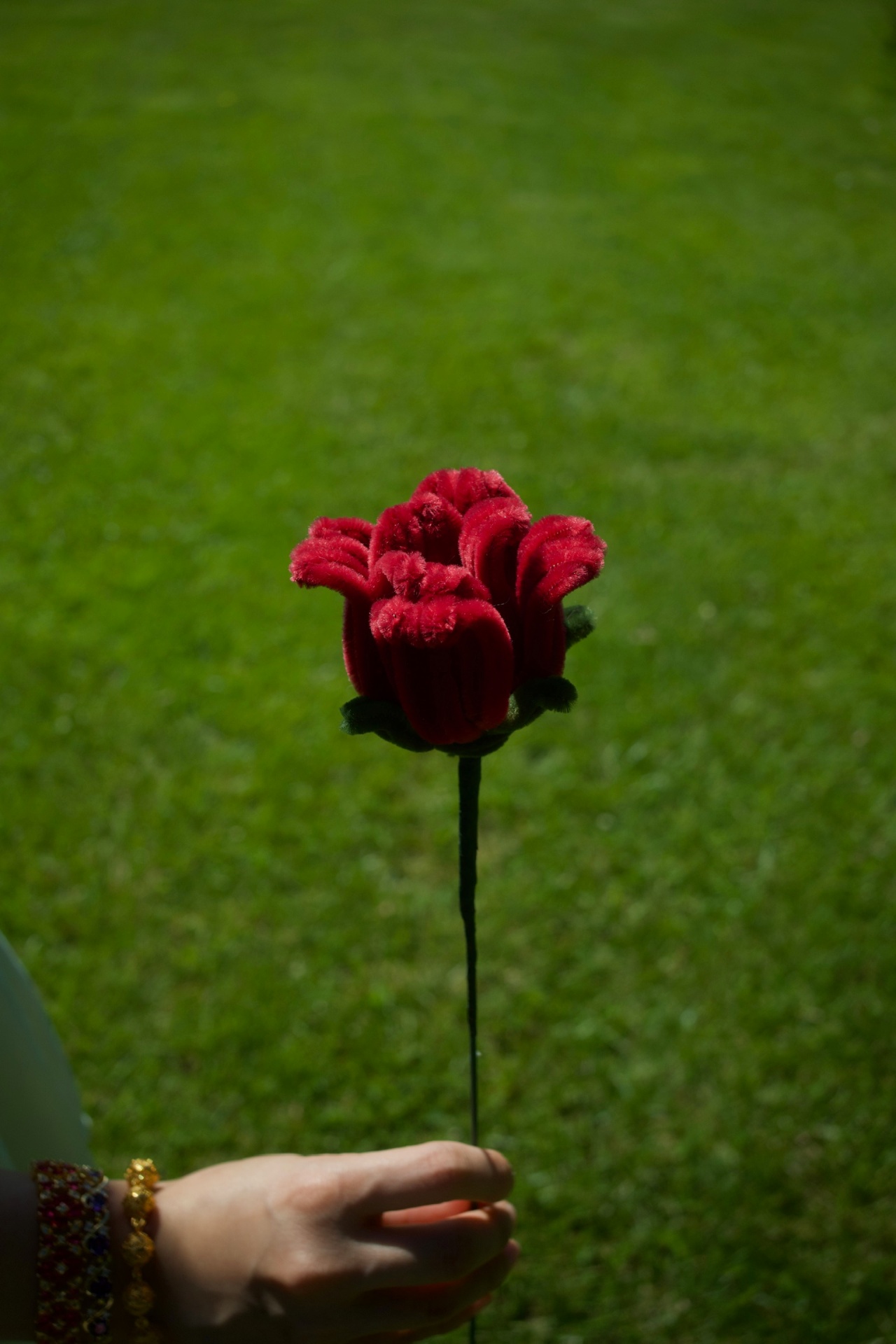 Pipe Cleaner Roses